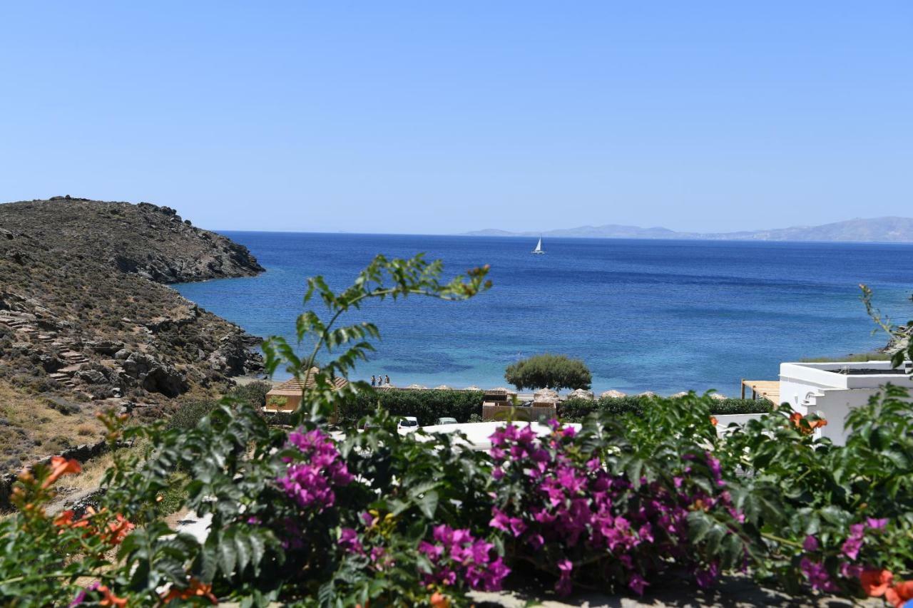 Tinos Traditional Sea Side Villa Agios Romanos Extérieur photo